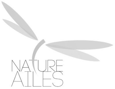 Cabinet Nature-Ailes | Céline Annen